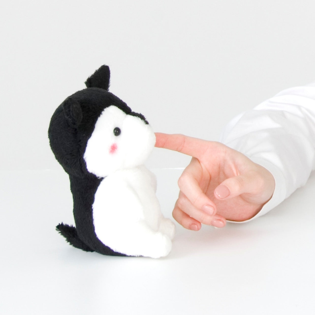 ぬいぐるみ